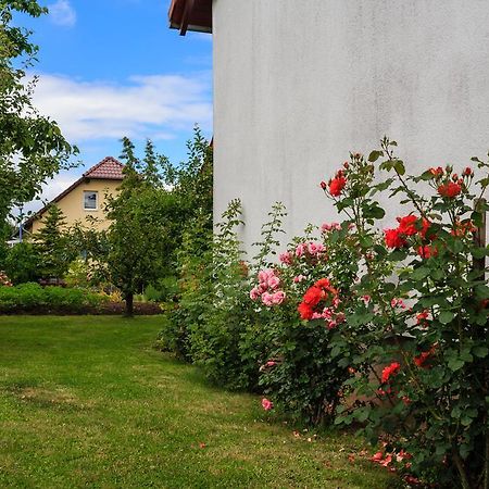 Hotel-Pension Am Rosarium Sangerhausen Exteriér fotografie