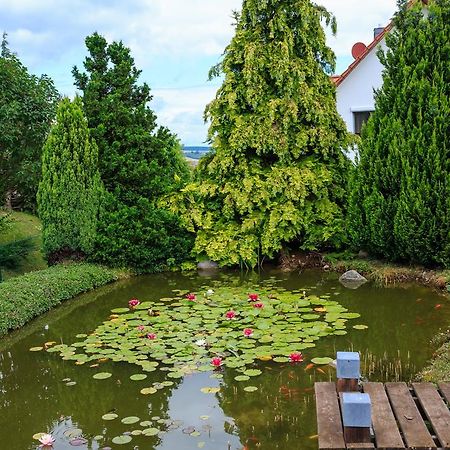 Hotel-Pension Am Rosarium Sangerhausen Exteriér fotografie