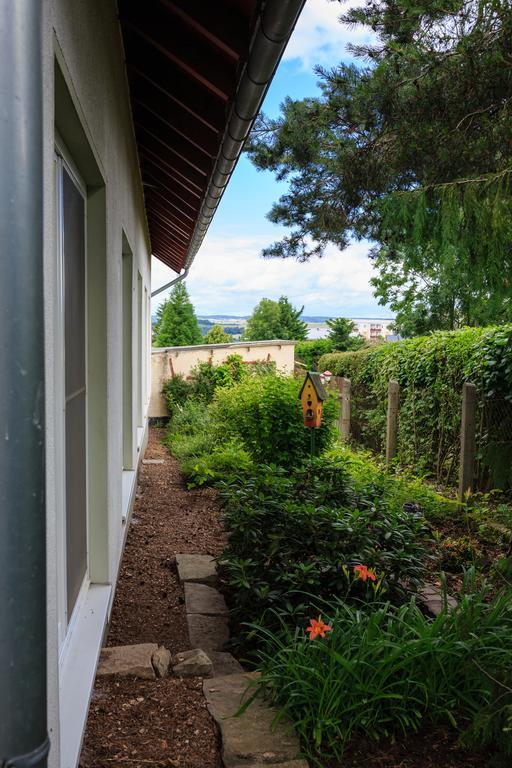 Hotel-Pension Am Rosarium Sangerhausen Exteriér fotografie