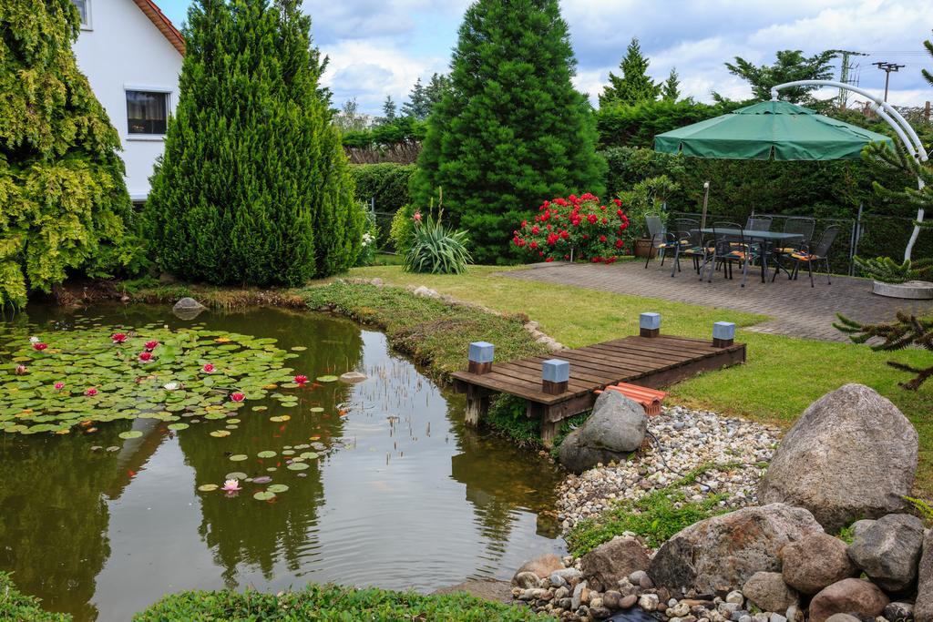 Hotel-Pension Am Rosarium Sangerhausen Exteriér fotografie