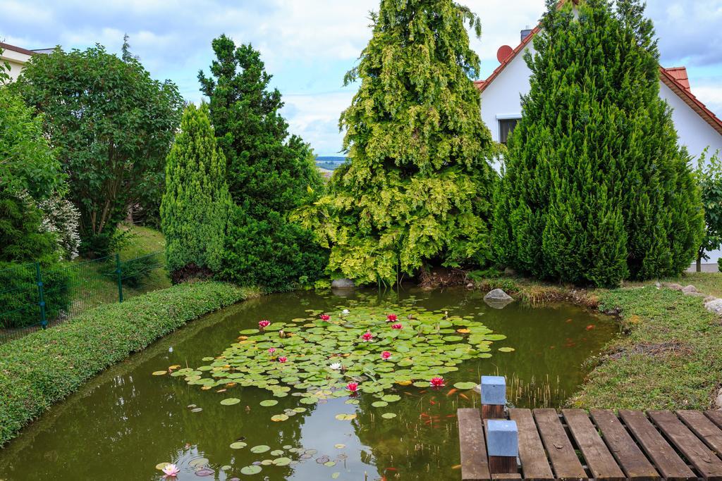 Hotel-Pension Am Rosarium Sangerhausen Exteriér fotografie