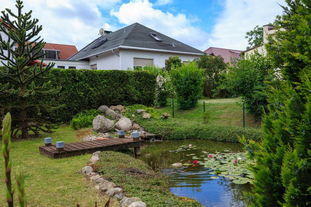 Hotel-Pension Am Rosarium Sangerhausen Exteriér fotografie