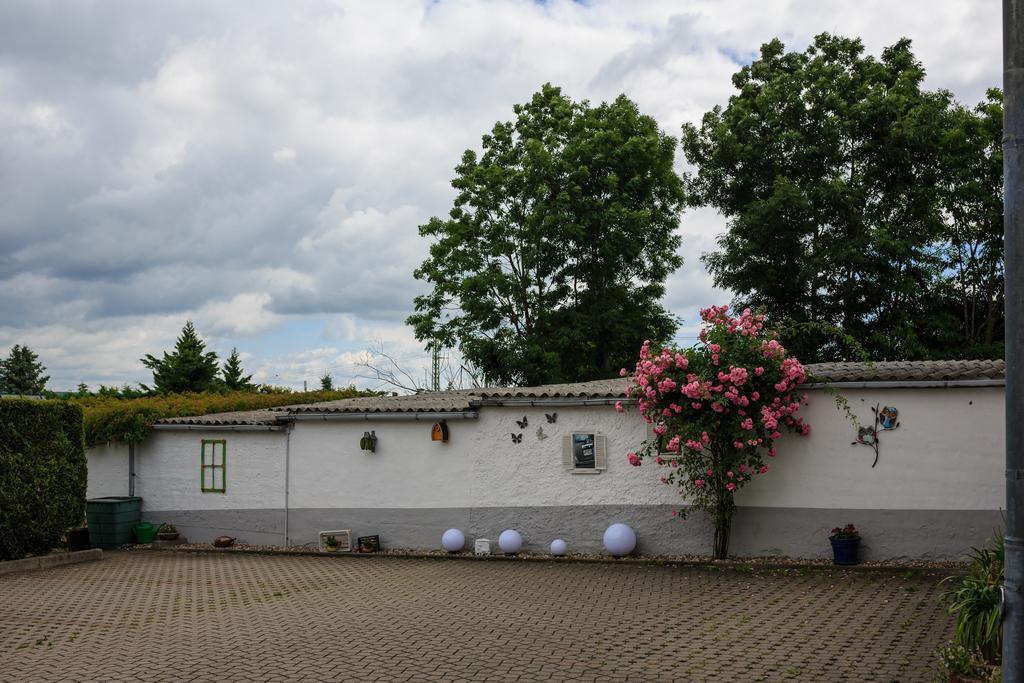 Hotel-Pension Am Rosarium Sangerhausen Exteriér fotografie